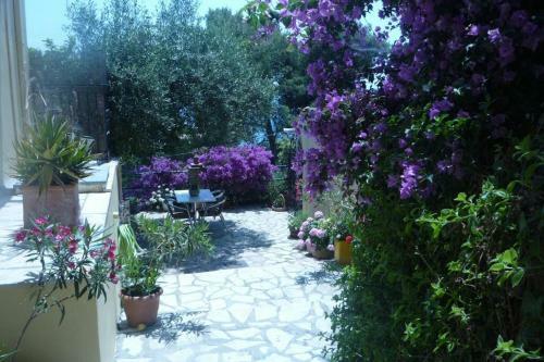 Butterfly Apartment Barbati