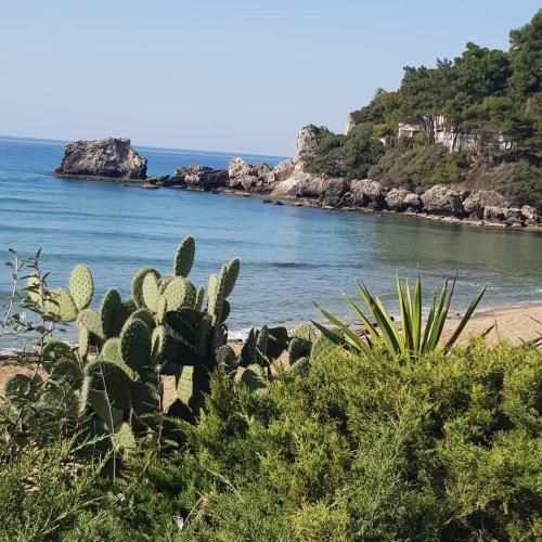 Apartamento Corfu Dream Glyfada 38