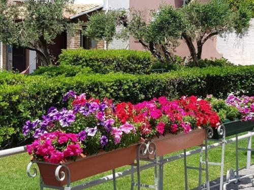 Calm Apartment In Korfu With