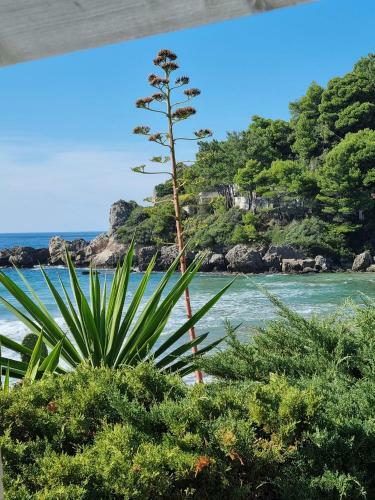 Apartamento Corfu Dream Holidays Villas 1-2-3