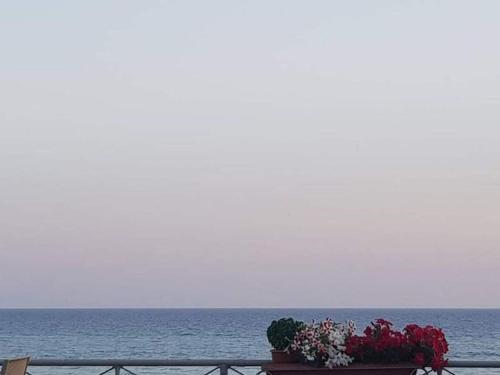 Comfortable Apartment In Corfu With Sea View