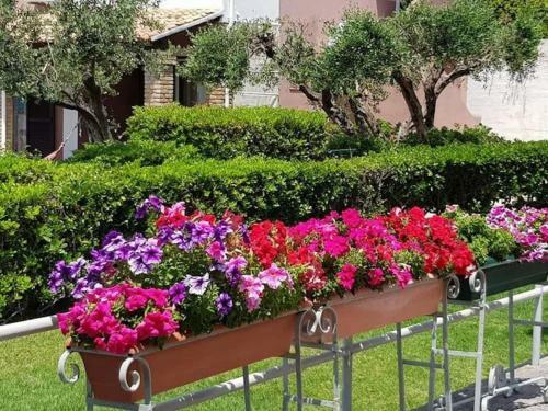 Relaxed Apartment In Corfu With Balcony