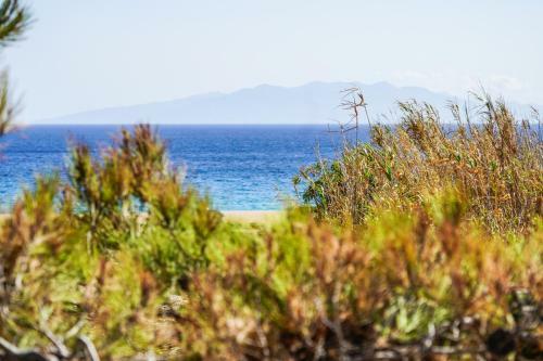 Apartamento Venus Myconian Residences