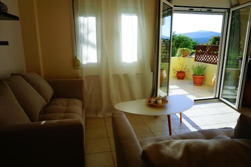 Nectar Apartments