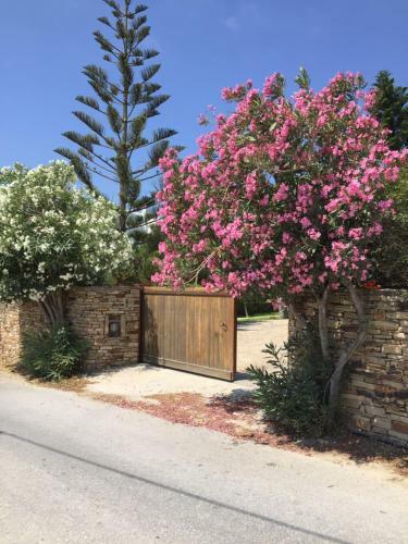 Youkali In Stelida - Naxos