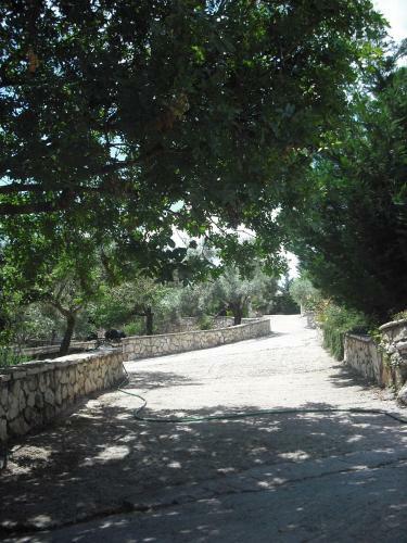 Kyknos Villa