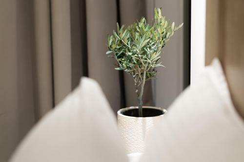Apartamento Cavo Delea - Elegant Suites