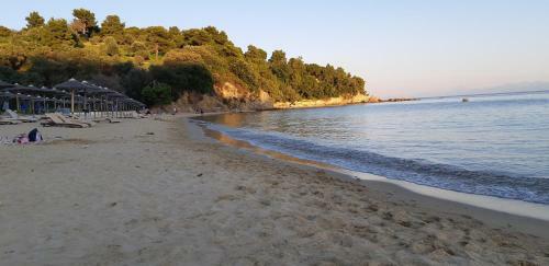 Hostal Villa Pascalis