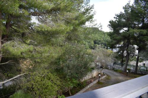 Apartamento Pine Tree House