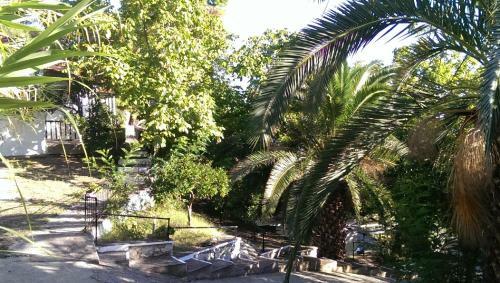 Apartamento Sofia Holiday Studios