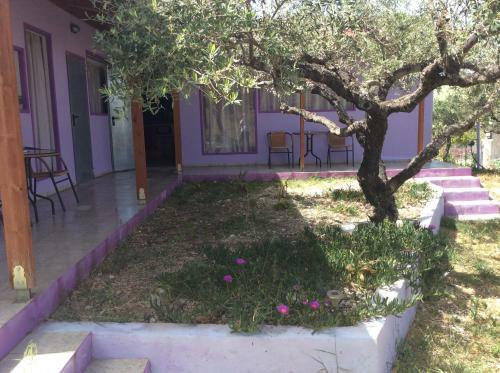 Apartamento Alex's Studio