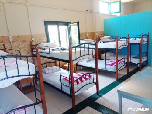 Albergue Saint George