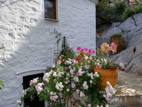 Arbeli House