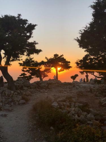 Haraki Beach Mediterranean Retreat