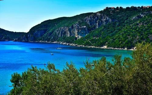 Apartamento Delfini Resort