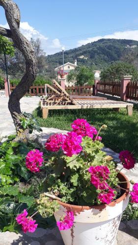 Eleana Apartments And Studios