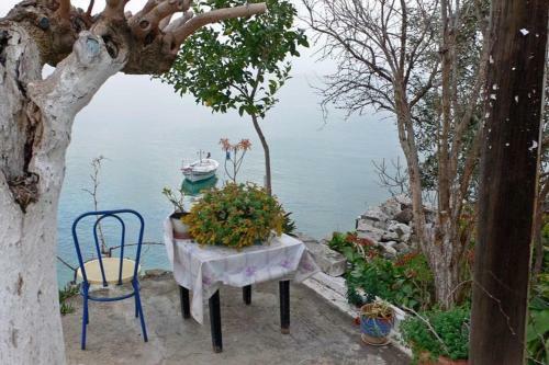 Villa Marilyn 14-16