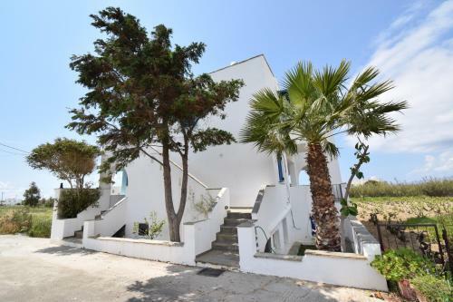 Palmos Self-catering Apartment