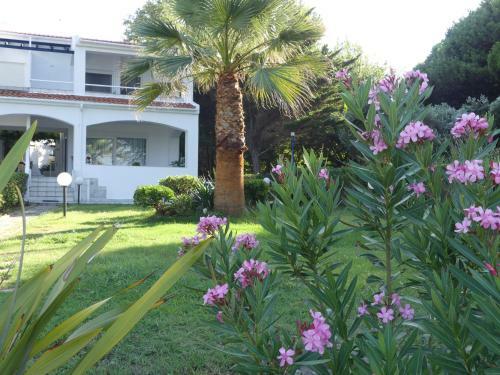 Villa Karidi Vourvourou