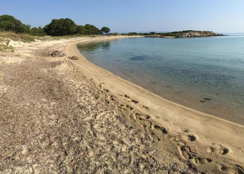 Small Karidi In Front Of The Sea