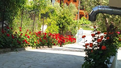 Apartamento Villa Sakis