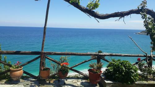 All About View Agios Ioannis Papa Nero