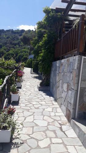 All About View Agios Ioannis Papa Nero