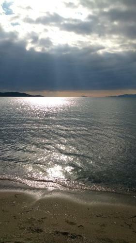 Seaside Glow
