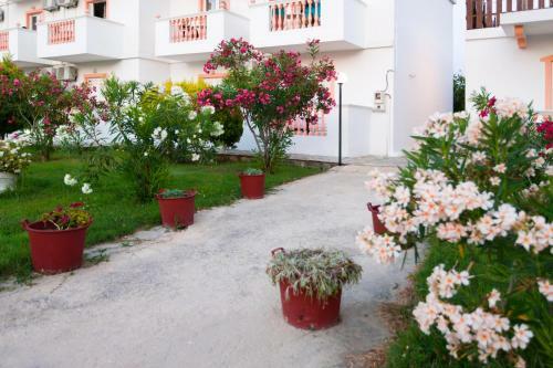 Apartamento Akis Studios Alykes