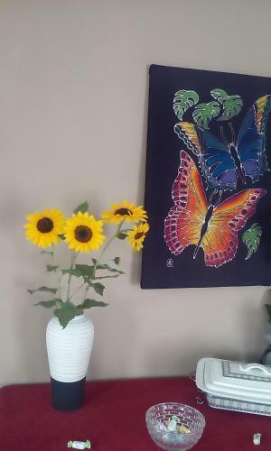 Hostal La Vatura