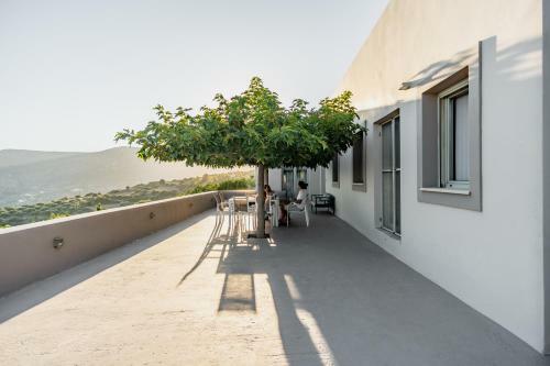 Villa Iris