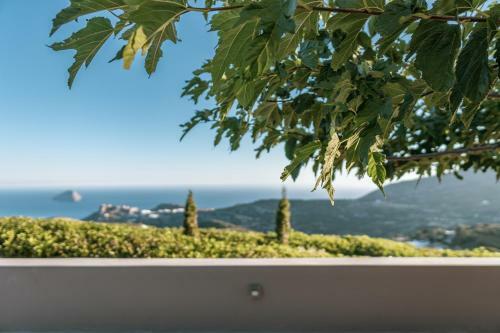 Villa Iris