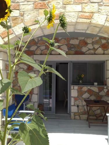 Golden Dolphin Studios & Apartments