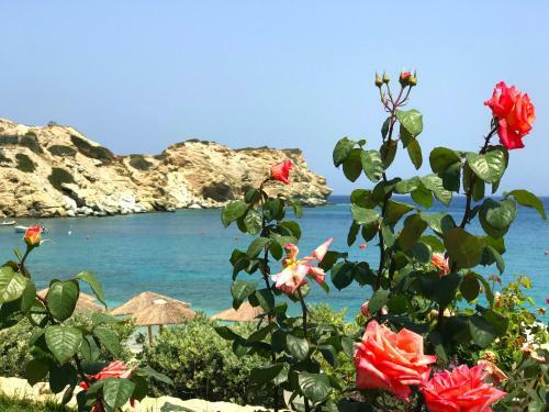 Dreamwave Residence - Unique Holidays By The Sea