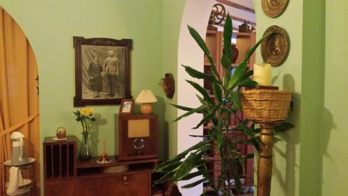 Hotel Posada Real Quinta De La Concepci�n