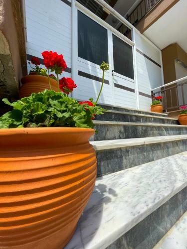Apartamento Thealos Inn
