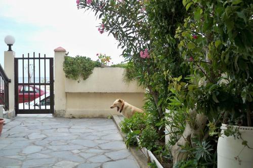 Sea View Apartments No 06