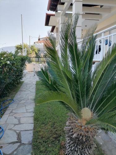 Seaview Apartment