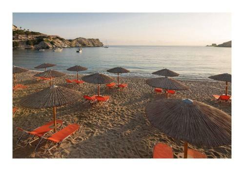 Beach Suite - Red