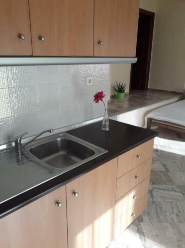 Hostal Villa Eleon 1
