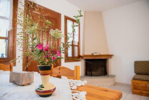 Apartamento Domus