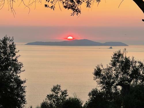 Arillas Hillside Villa 3 - Provence
