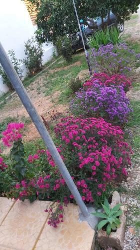 Apartamento Annas House