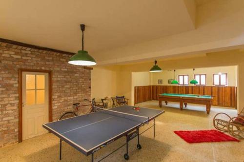 Artistic House: View - Pingpong - Billard