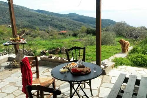Artistic House: View - Pingpong - Billard