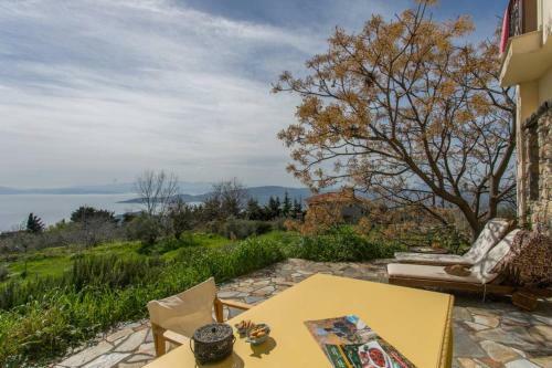 Artistic House: View - Pingpong - Billard