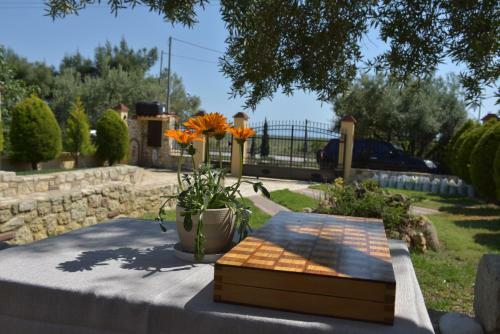 Apartamento Captain's Villa Appartments