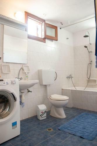 Apartamento Palmhouses