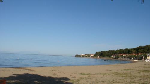 Elia By The Sea