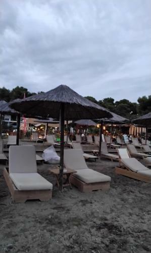 Elia By The Sea